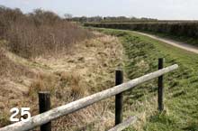 canal path